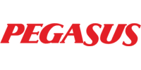 Pegasus Airlines Logo
